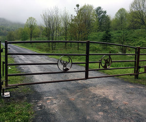 Custom metal driveway gate with deerhead design for a New York farm - by Tri State Gate